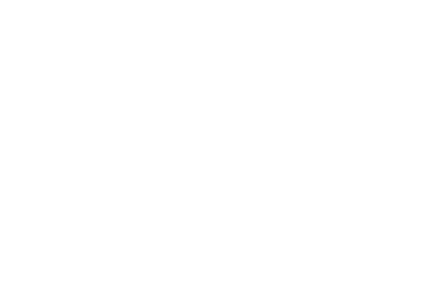 Fischer Engineering